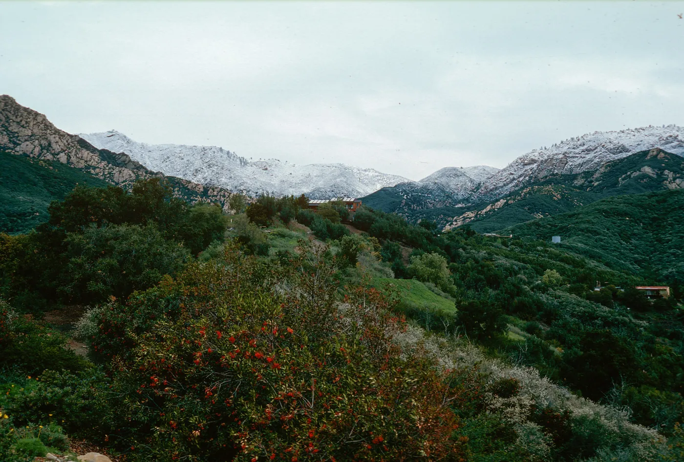 snow on Santa Ynez Mountains, East slope, Santa Barbara Botanic Garden