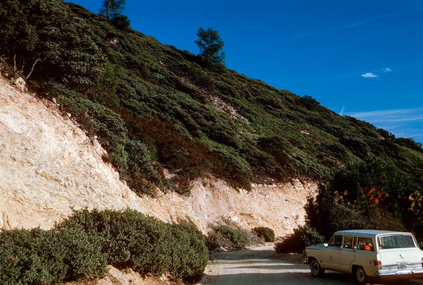 Chaparral, East Cuesta ridge, San Luis Obispo County
