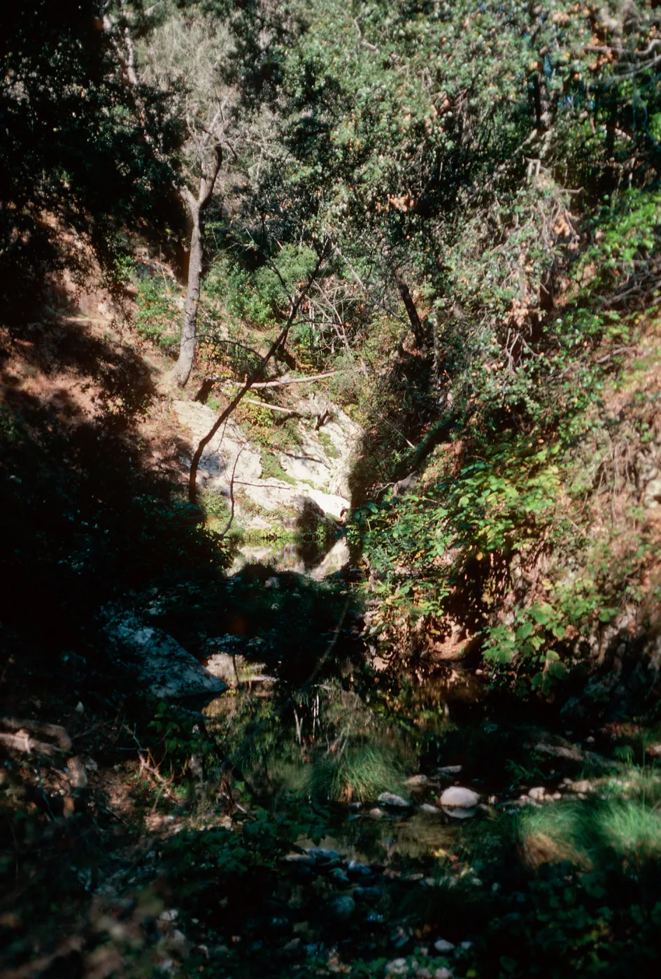 Big Falls Canyon Trail, Lopez Canyon, Santa Lucia Mountains, San Luis Obispo County