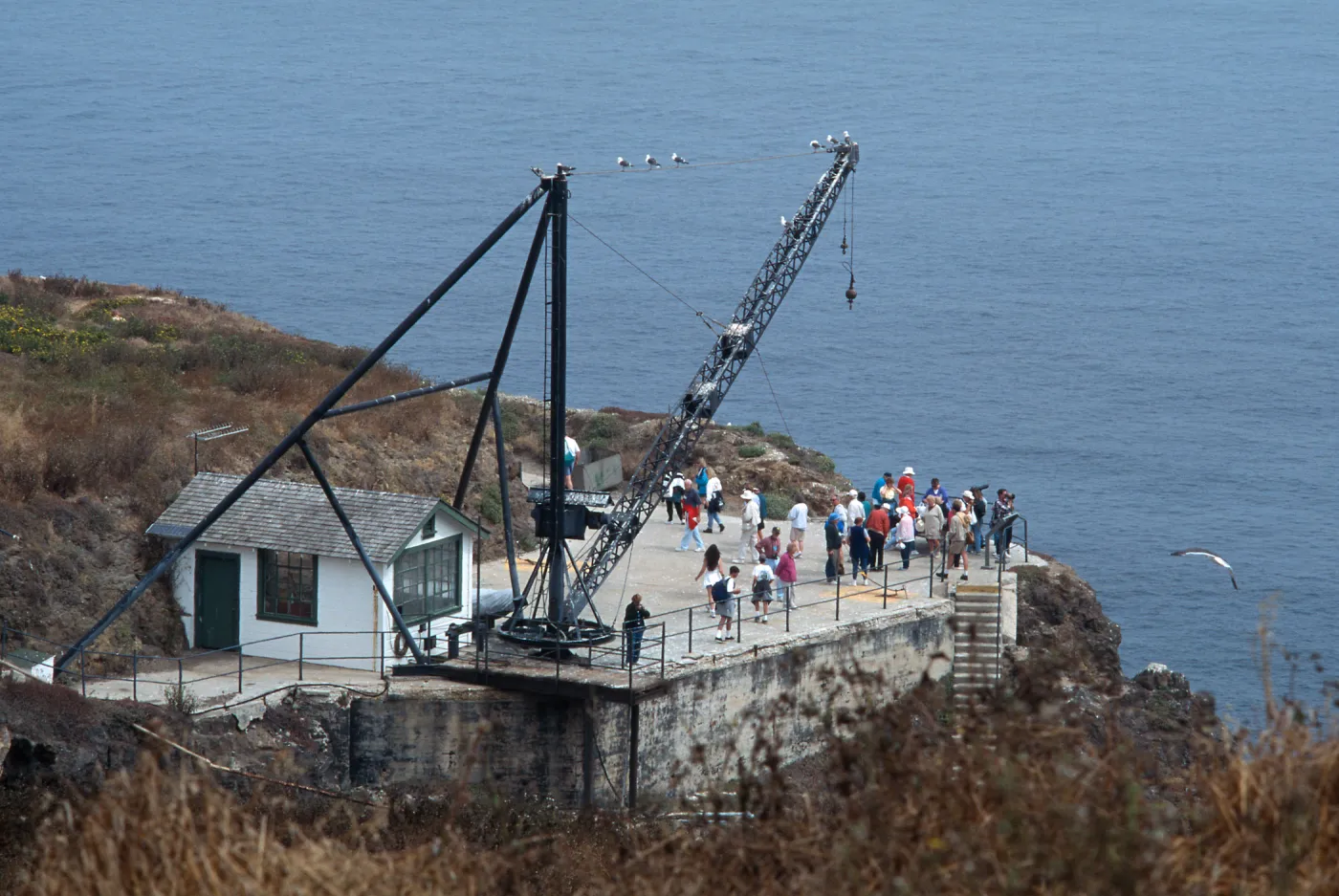 landing, East Anacapa Island