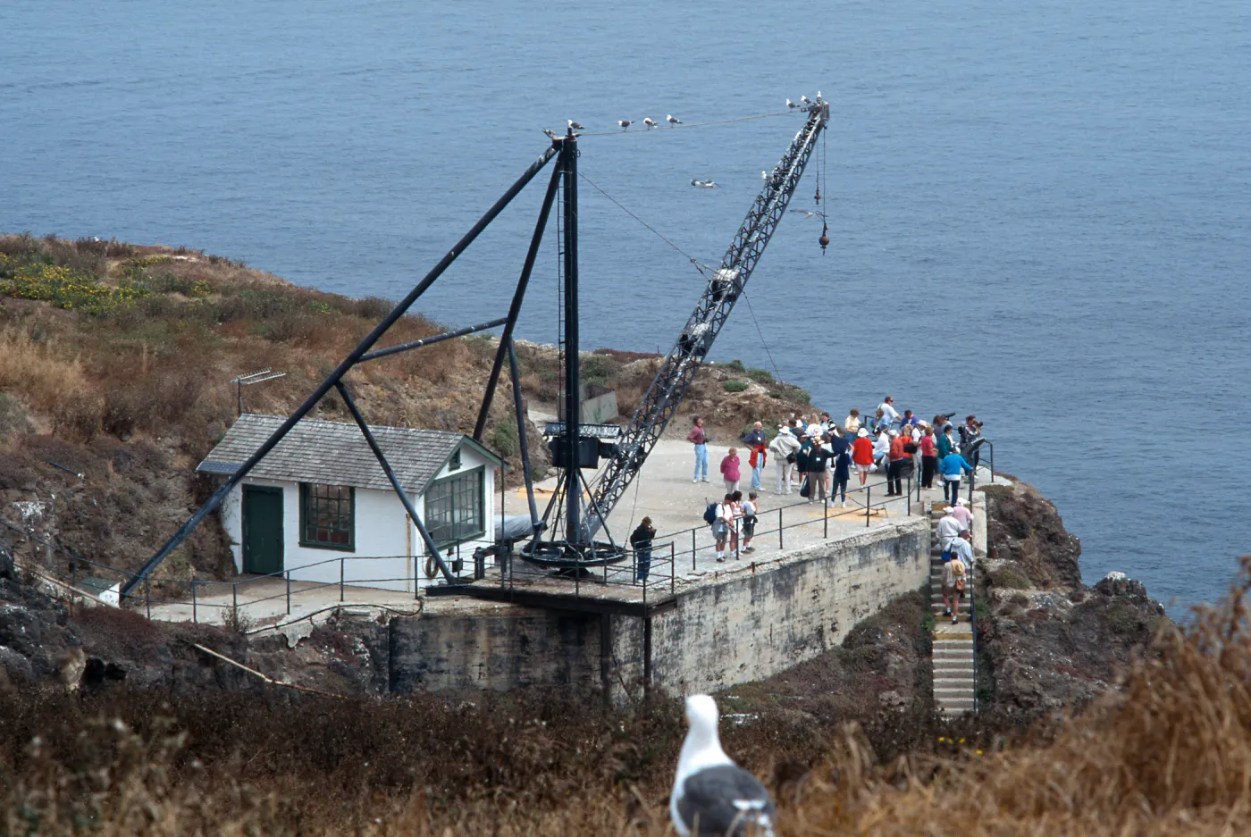 landing, East Anacapa Island