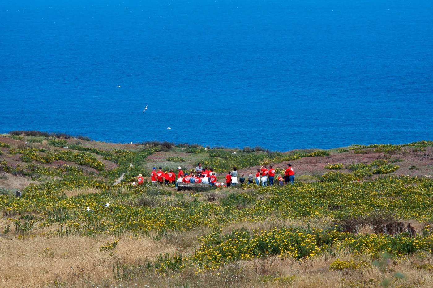 guided tour, East Anacapa Island