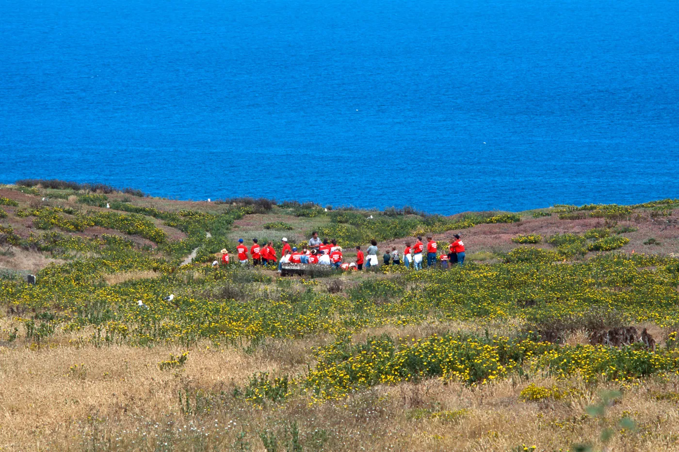 guided tour, East Anacapa Island