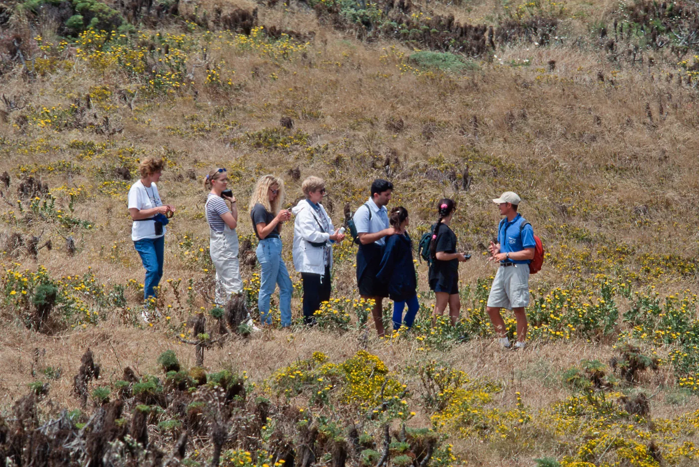 Island Packers, naturalist tour, East Anacapa Island