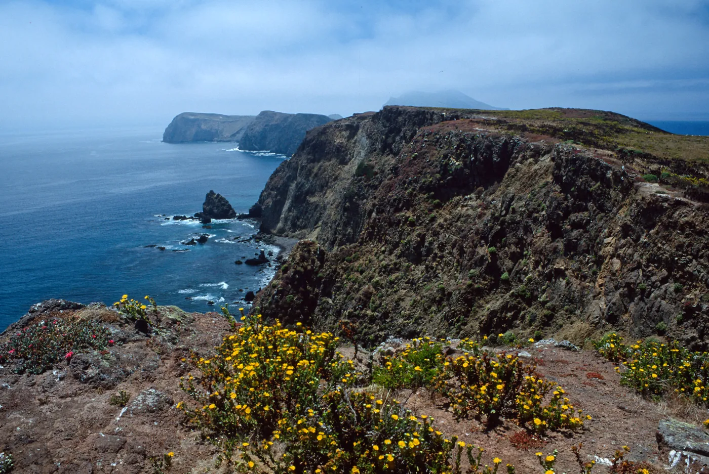 East Anancapa Island--bluffs on S. side