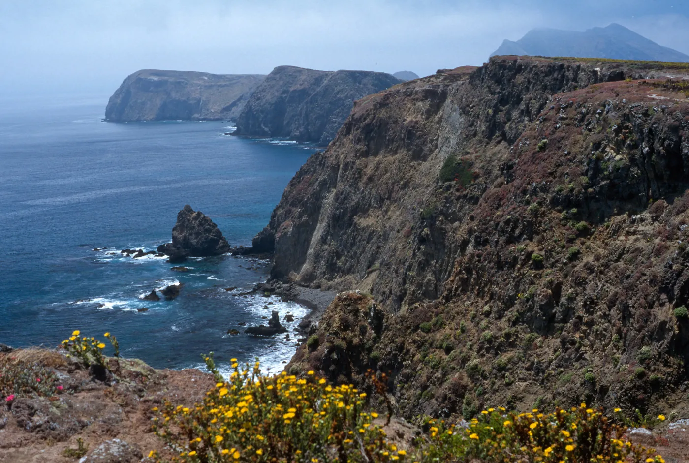 East Anancapa Island--bluffs on S side