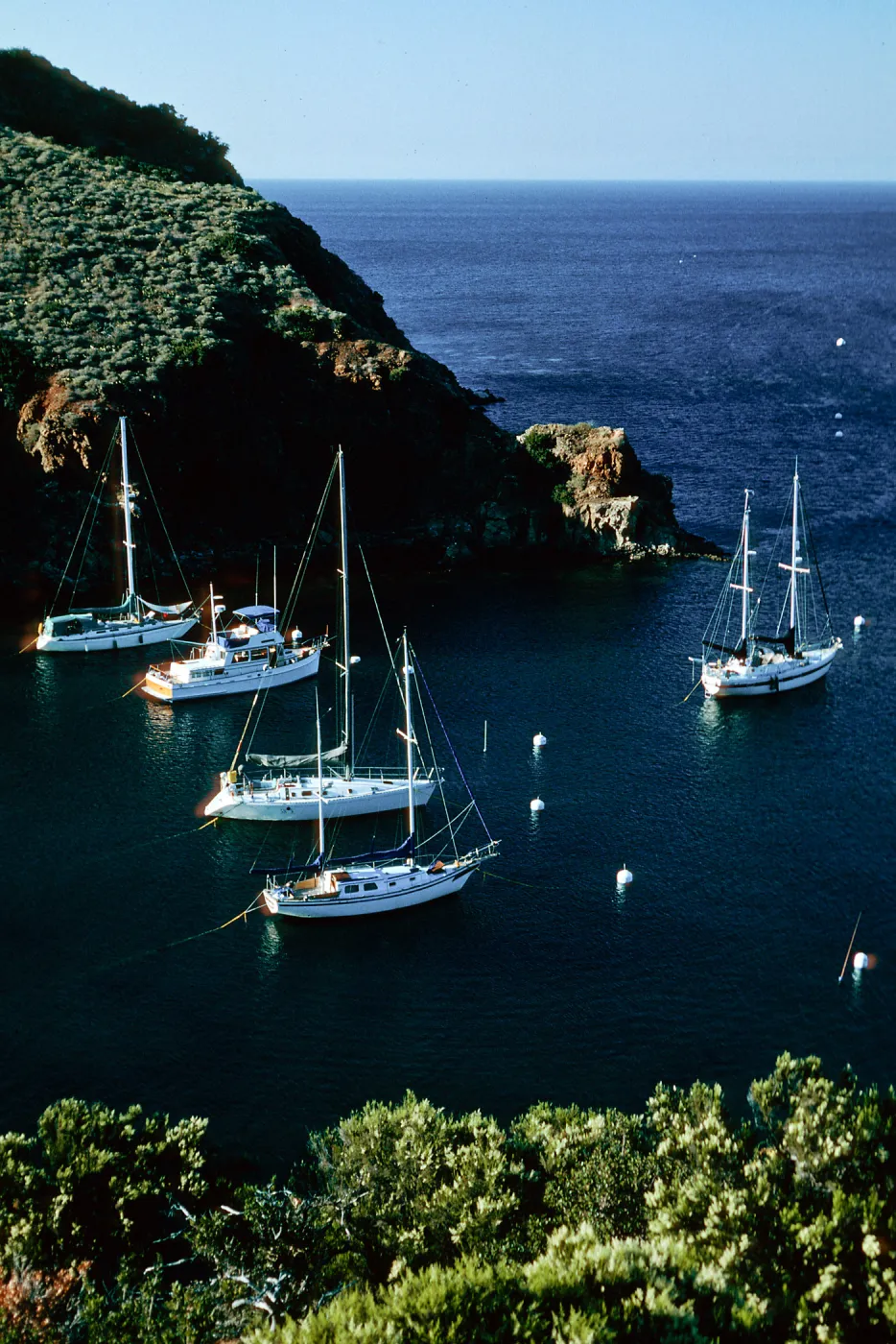 Santa Catalina Island, 4th of July Cove