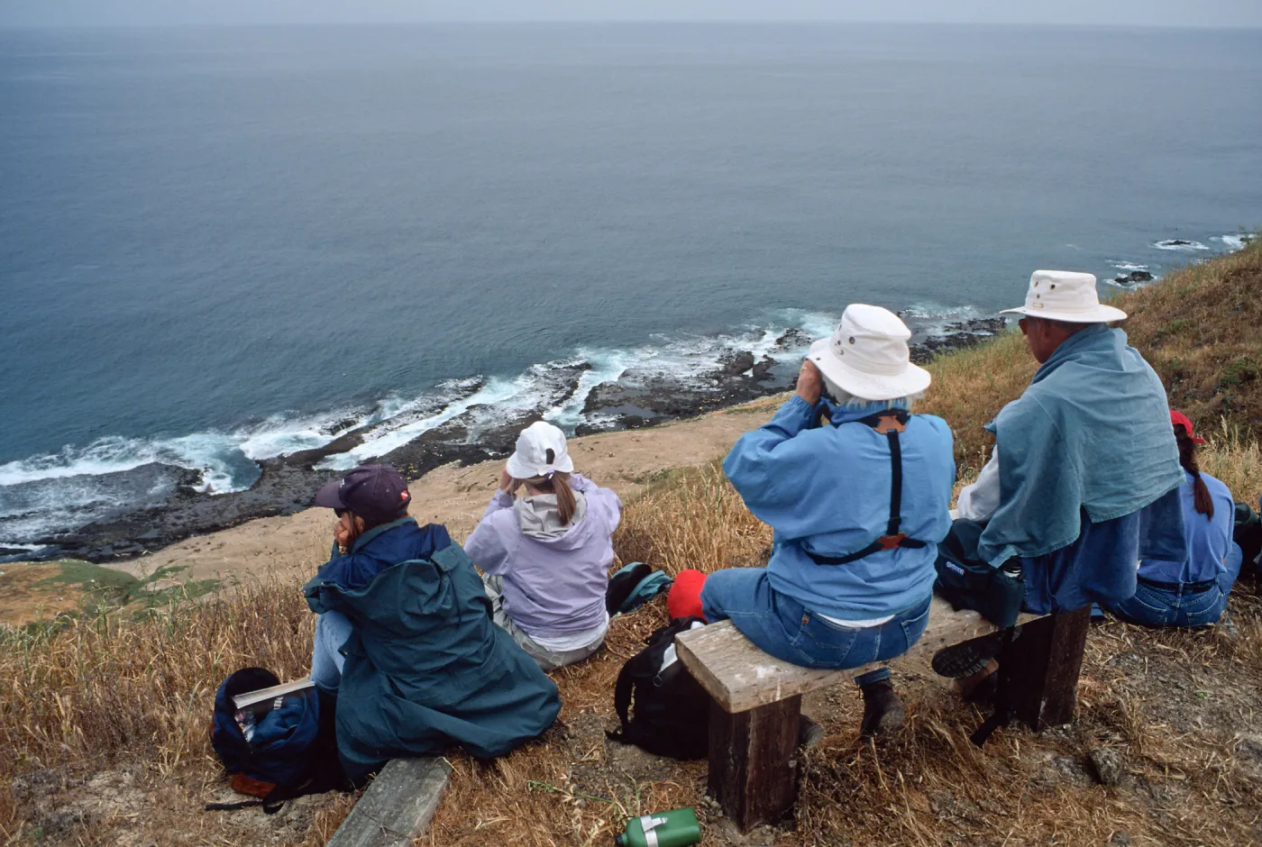 Santa Barbara Island, overlook, Birdwatching group