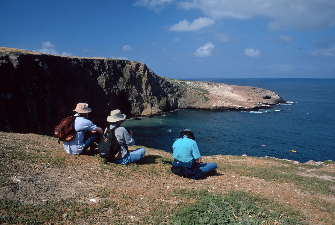 Santa Barbara Island, overlooking Webster Point