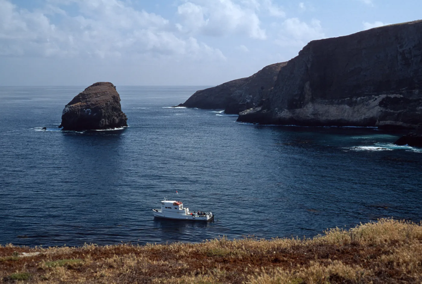 Santa Barbara Island, W side of North Peak, Dive boat