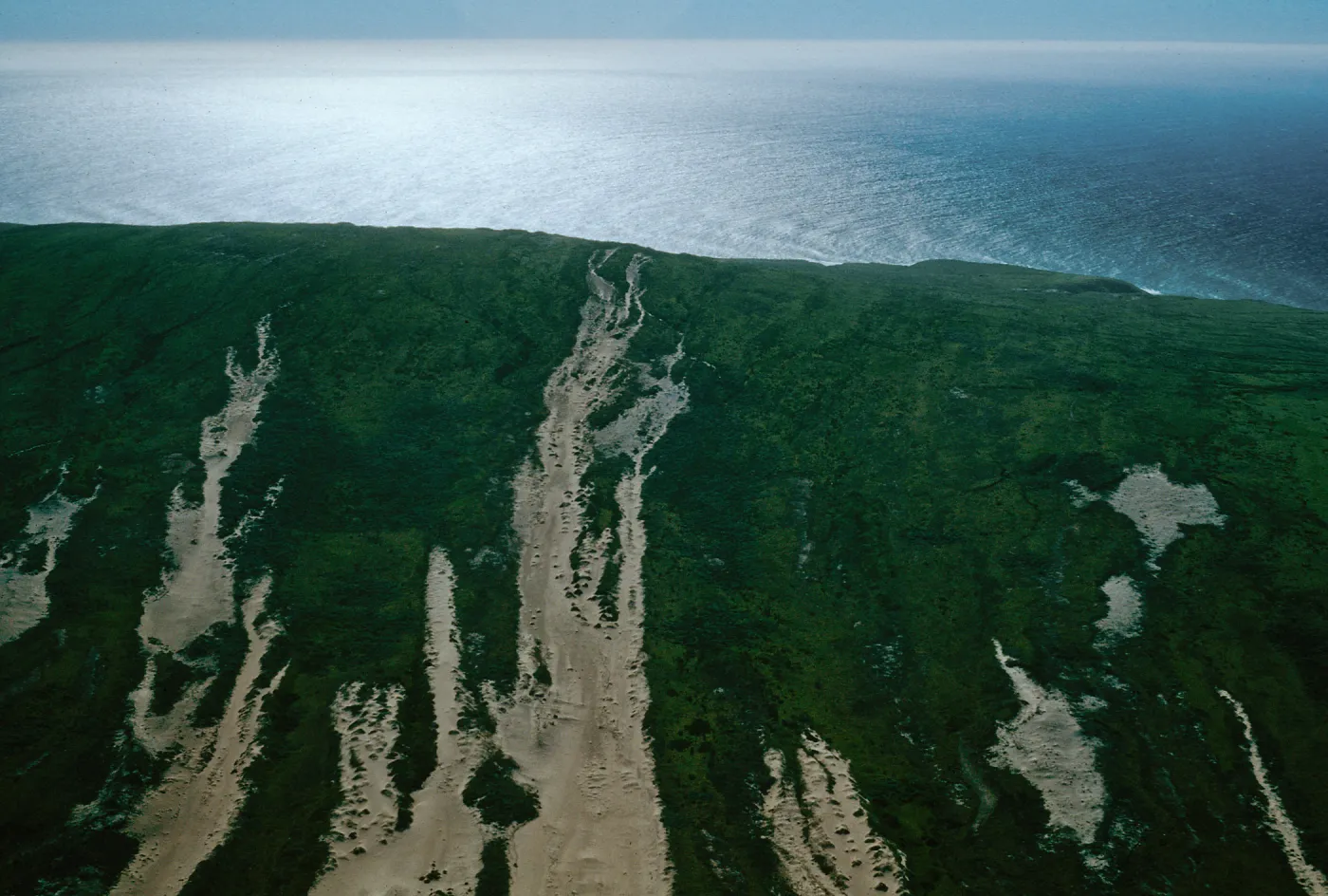 sand stripes, San Miguel Island