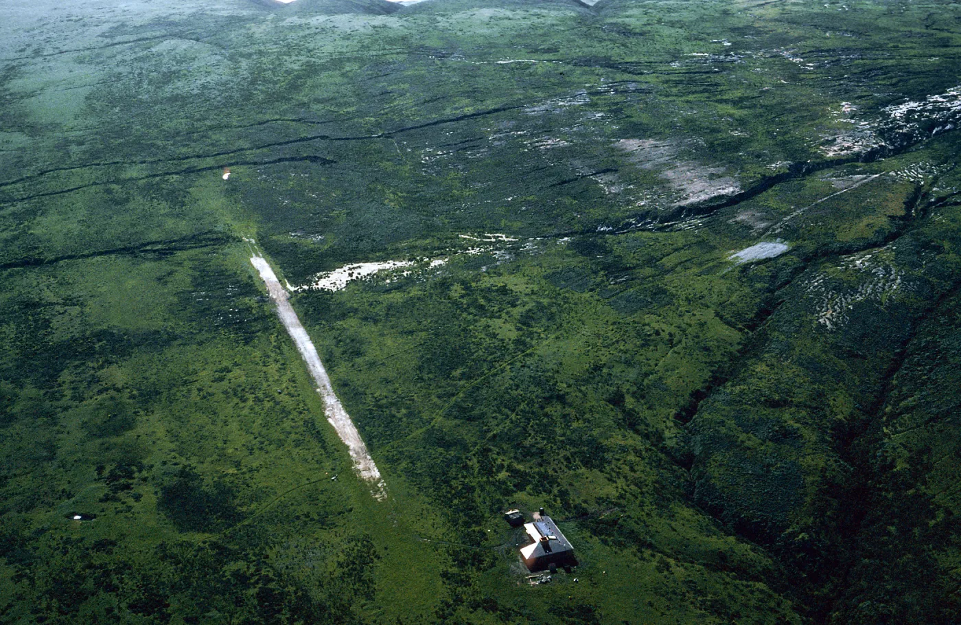 San Miguel Island, near Ranger Station & airstrip