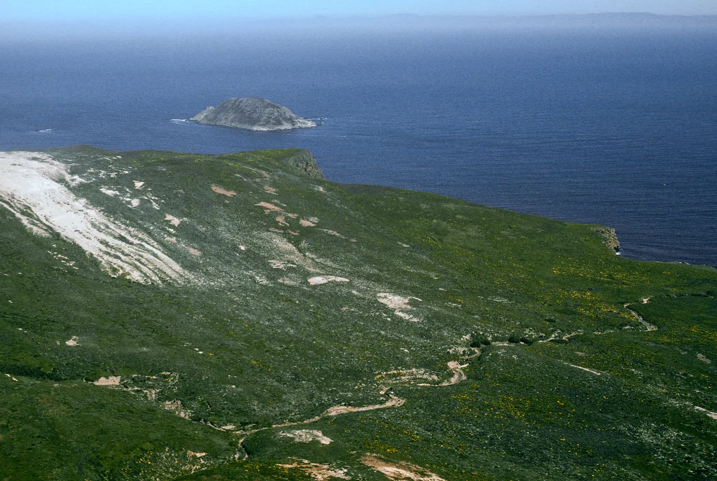 San Miguel Island, NE end by Willow Canyon