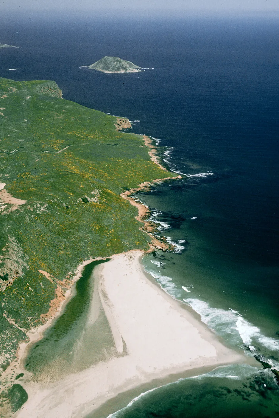 San Miguel Island, NE end of island & Cardwell Point