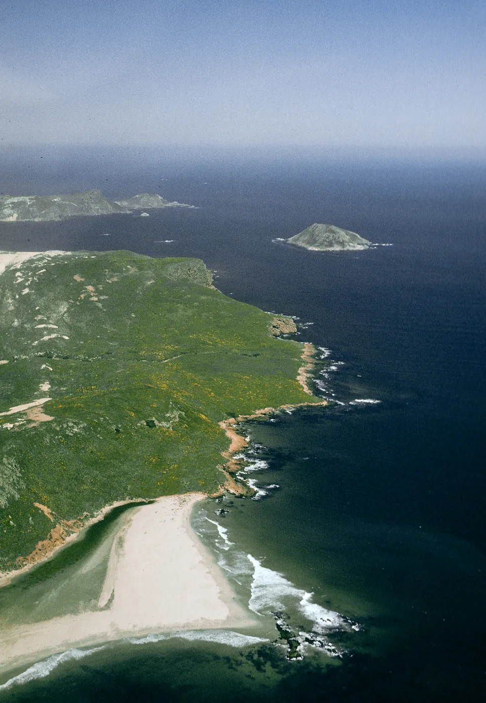 San Miguel Island, NE end of island & Cardwell Point