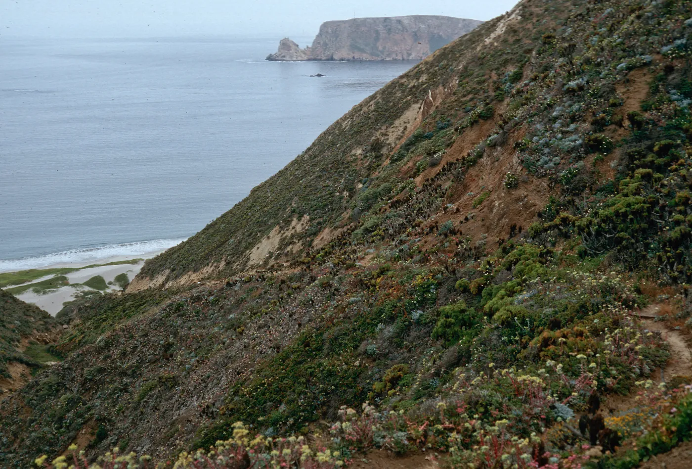 Canada del Mar trail, San Miguel Island