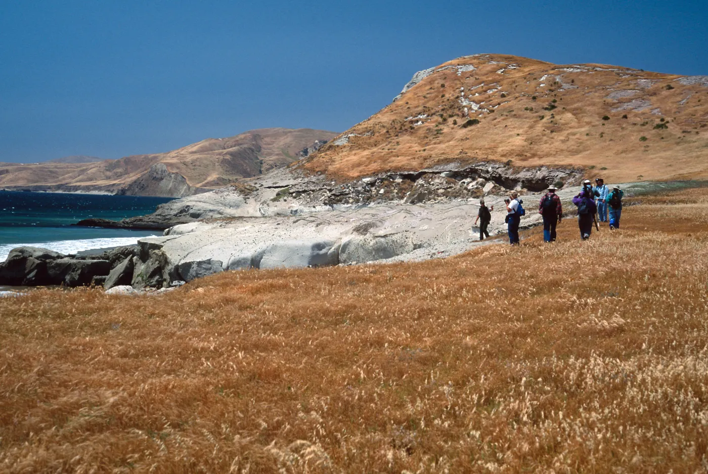 Field study group, Santa Rosa Island, S of East Point