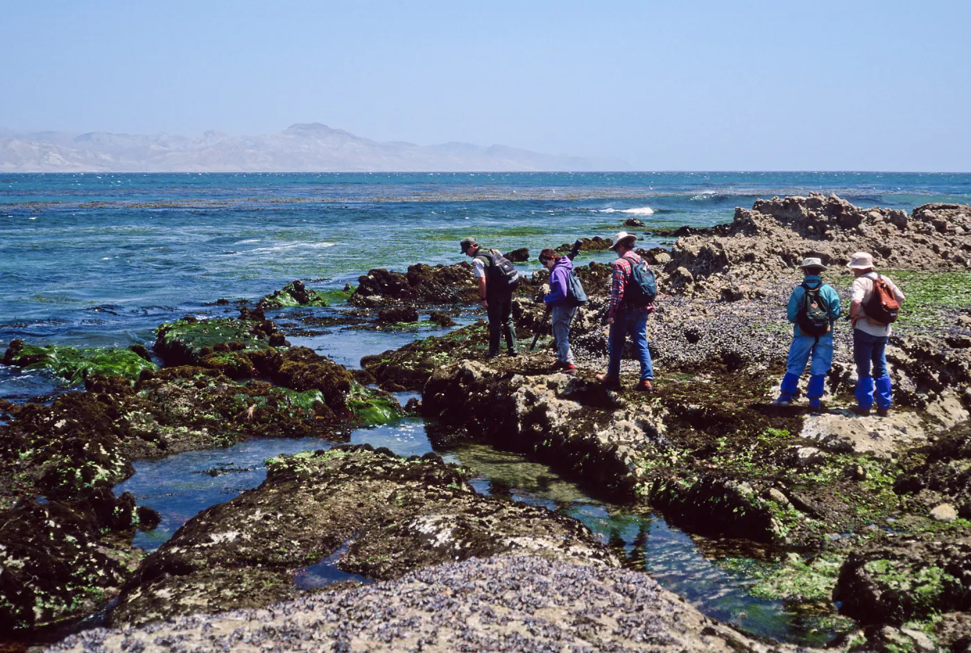 field study group, Santa Rosa Island, East Point tide pools