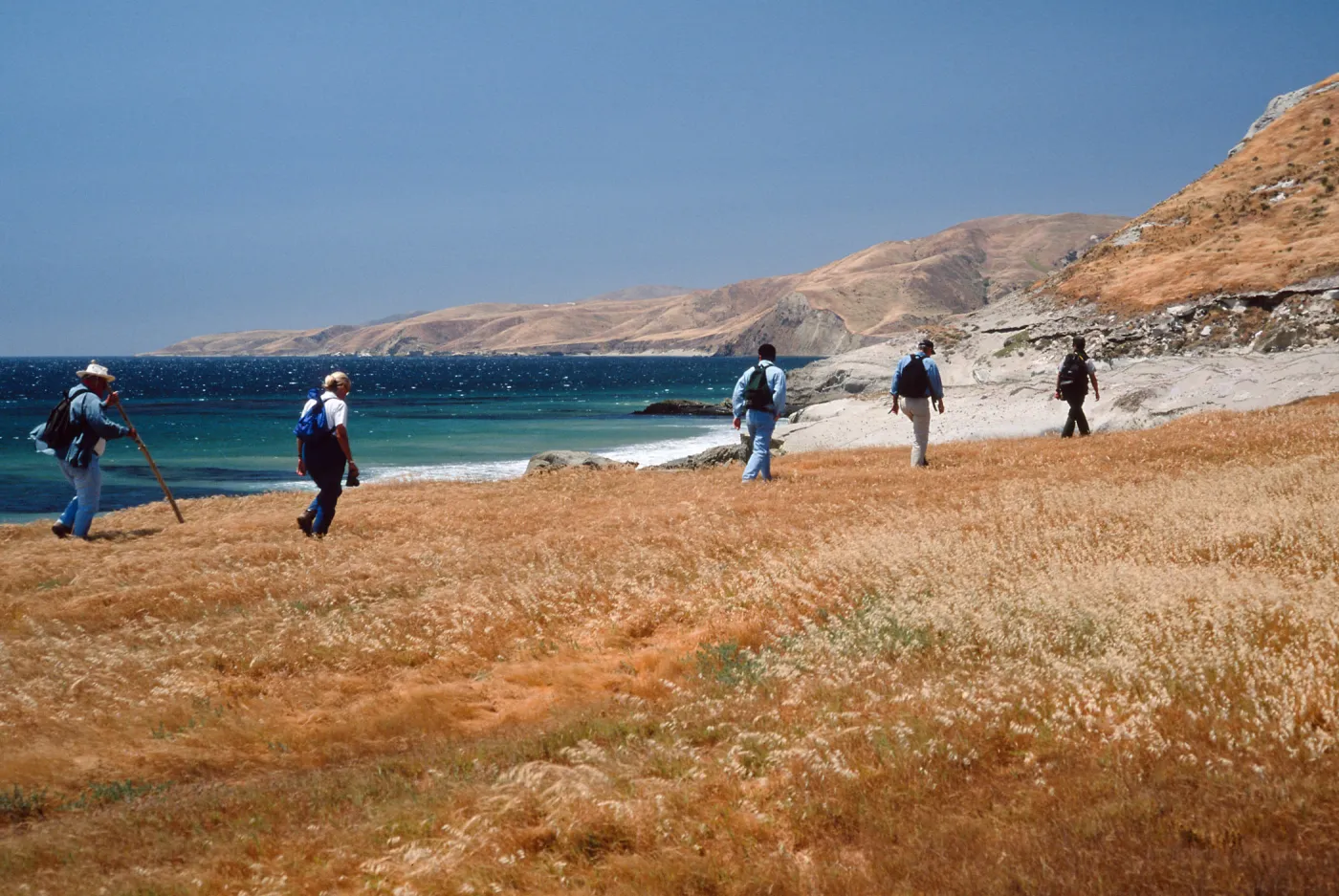 Field study group, S of East Point, Santa Rosa Island