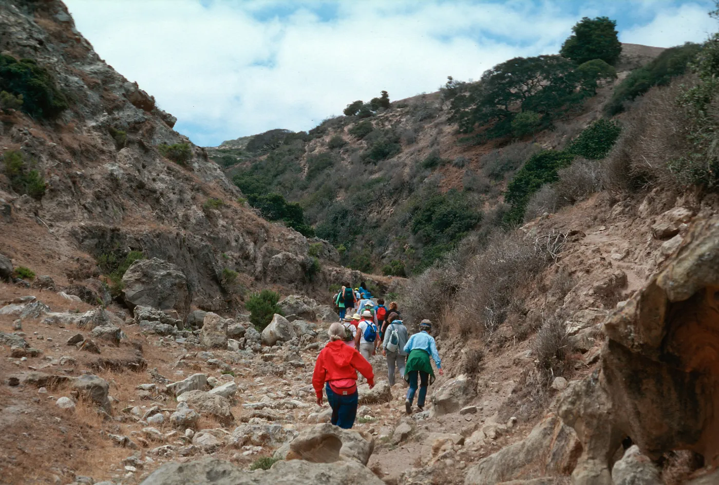 Cherry Canyon, Santa Rosa Island