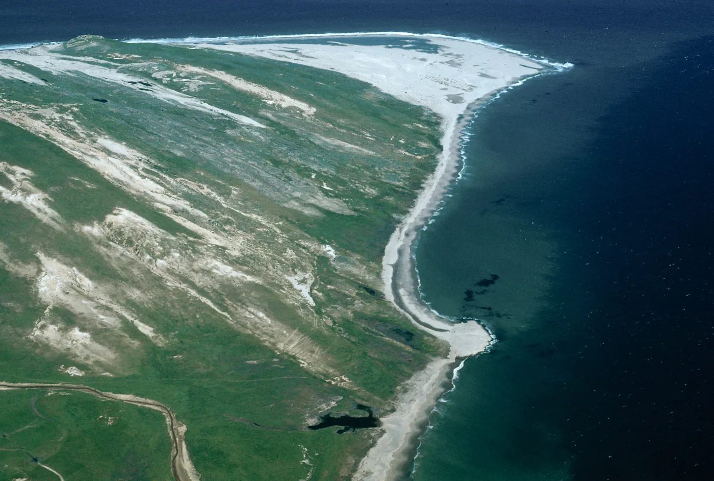 Skunk Point, Santa Rosa Island