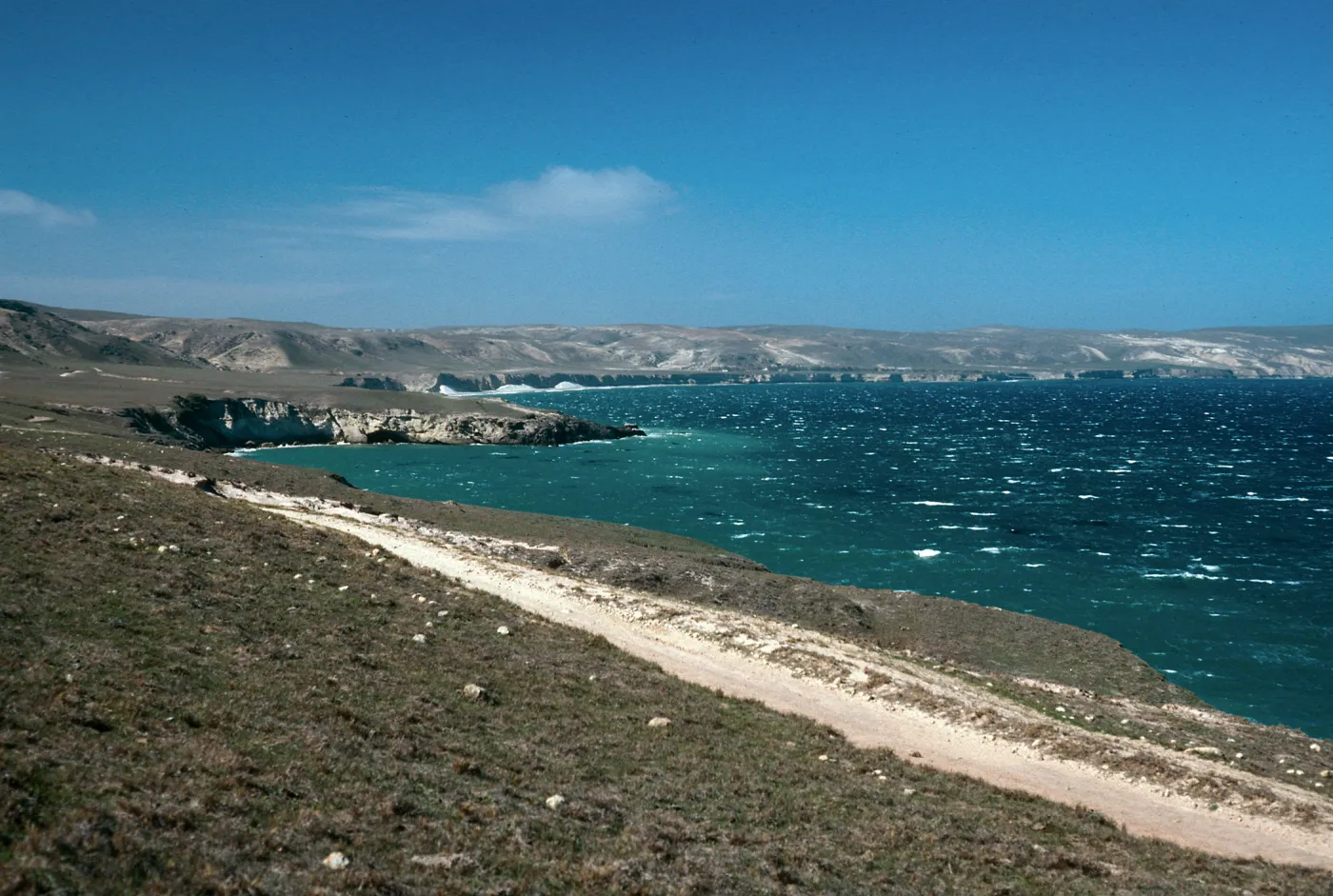 Beechers Bay from Torrey Pines, Santa Rosa Island