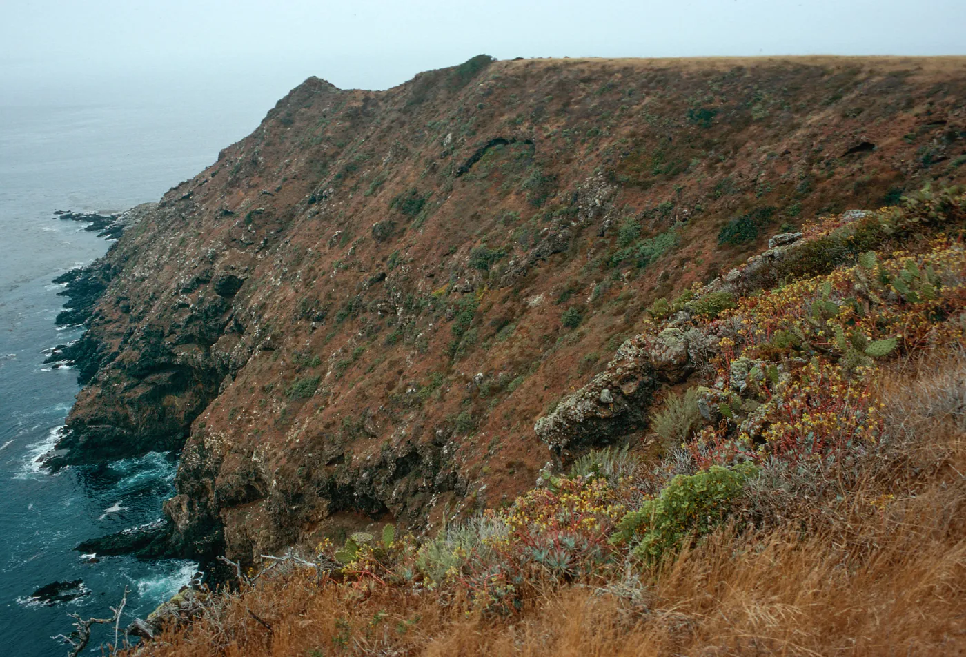 offshore bluffs, Southwest side, West Anacapa Island