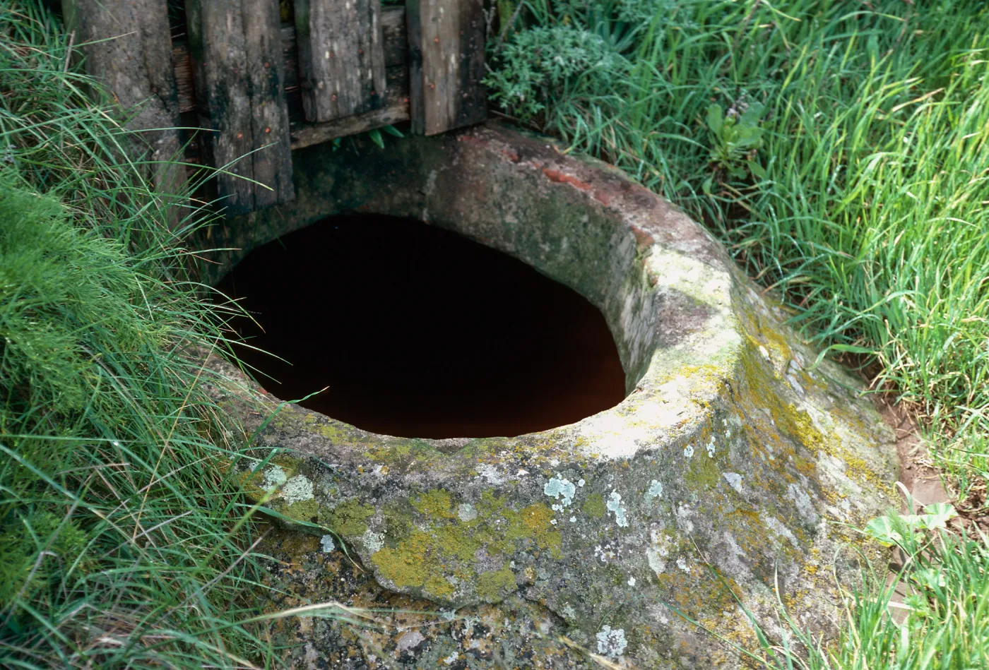 cistern, Sheep Camp, Middle Anacapa Island