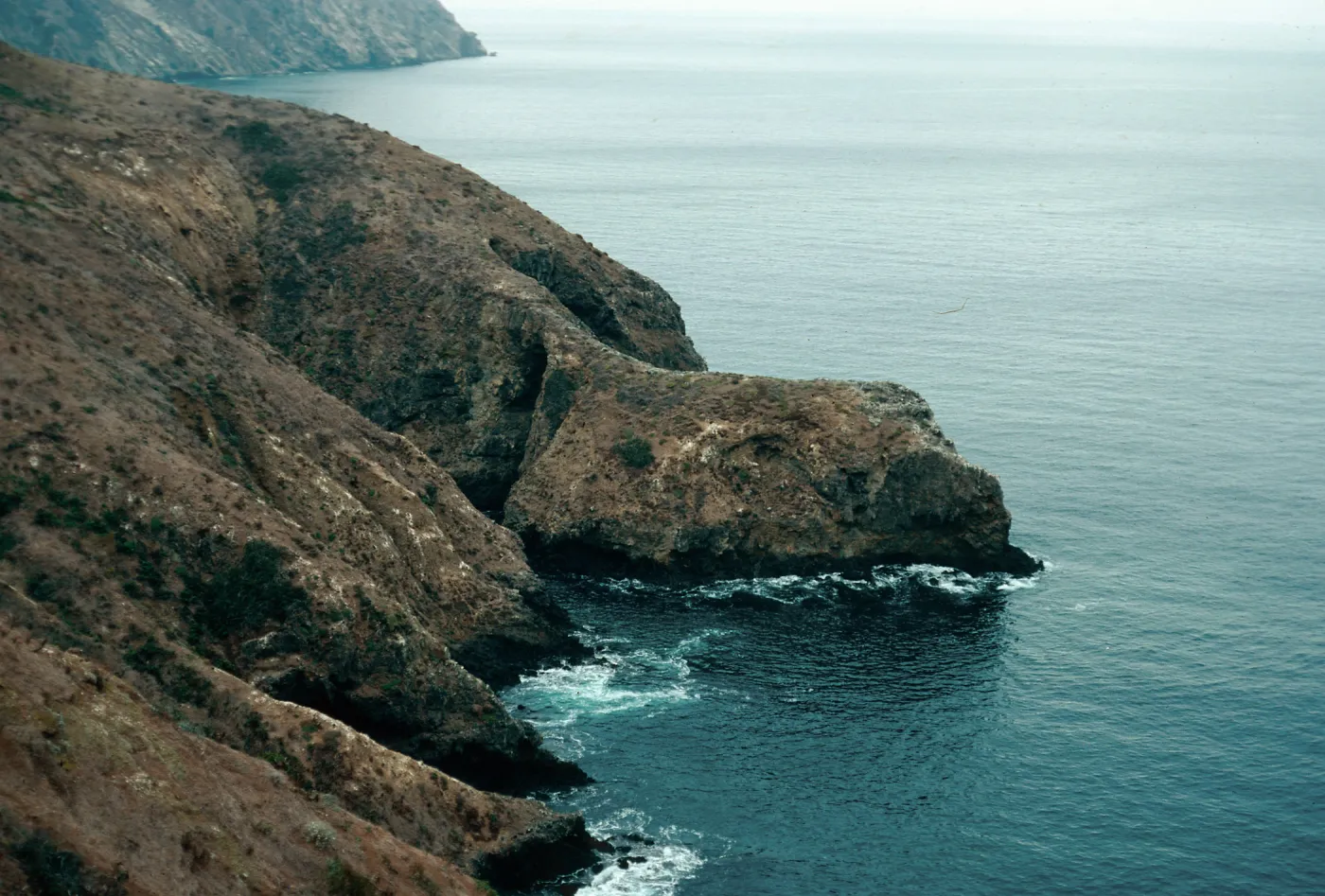 Sea Arch Peninsula, Middle Anacapa Island