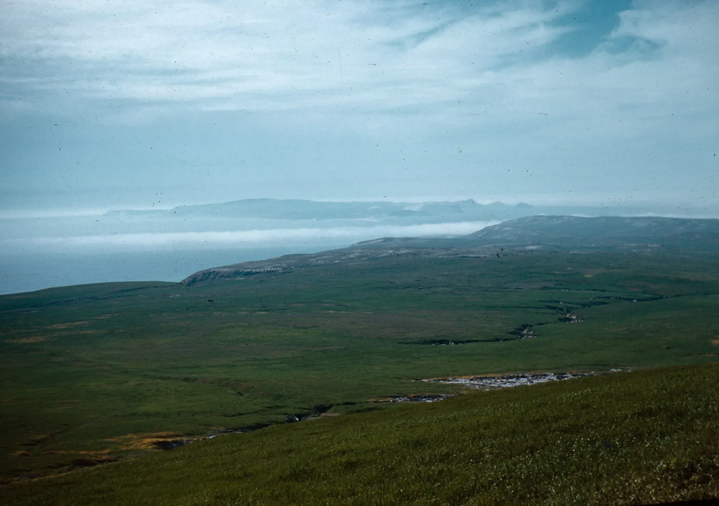 Pocket Field, Sandy Point, Santa Rosa Island