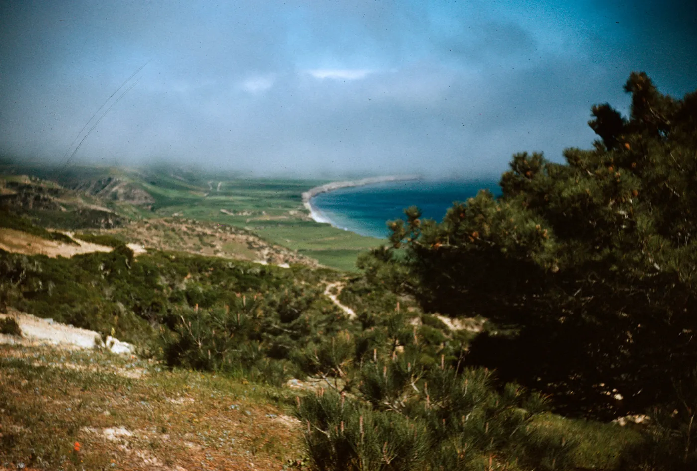 Beechers Bay from Torrey Pine grove, Santa Rosa Island
