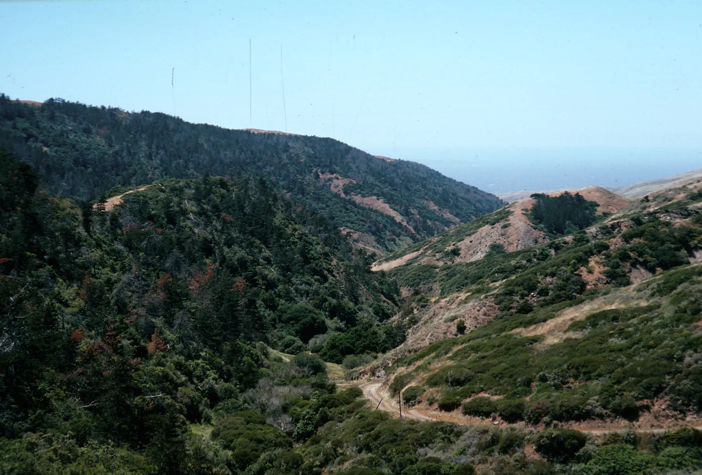 Centinela grade, Santa Cruz Island