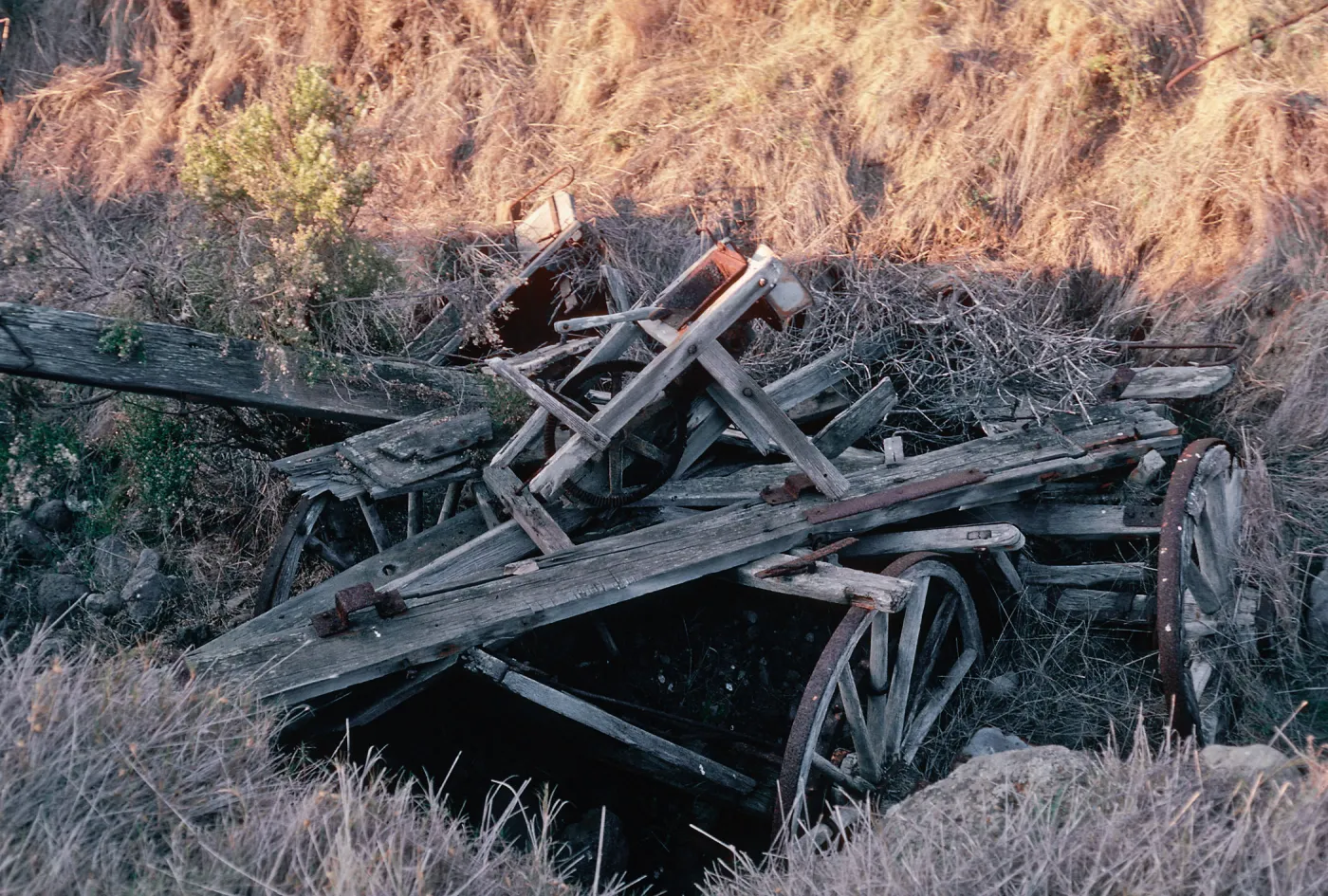 Wagon Gulch, near Christy Ranch, Santa Cruz Island