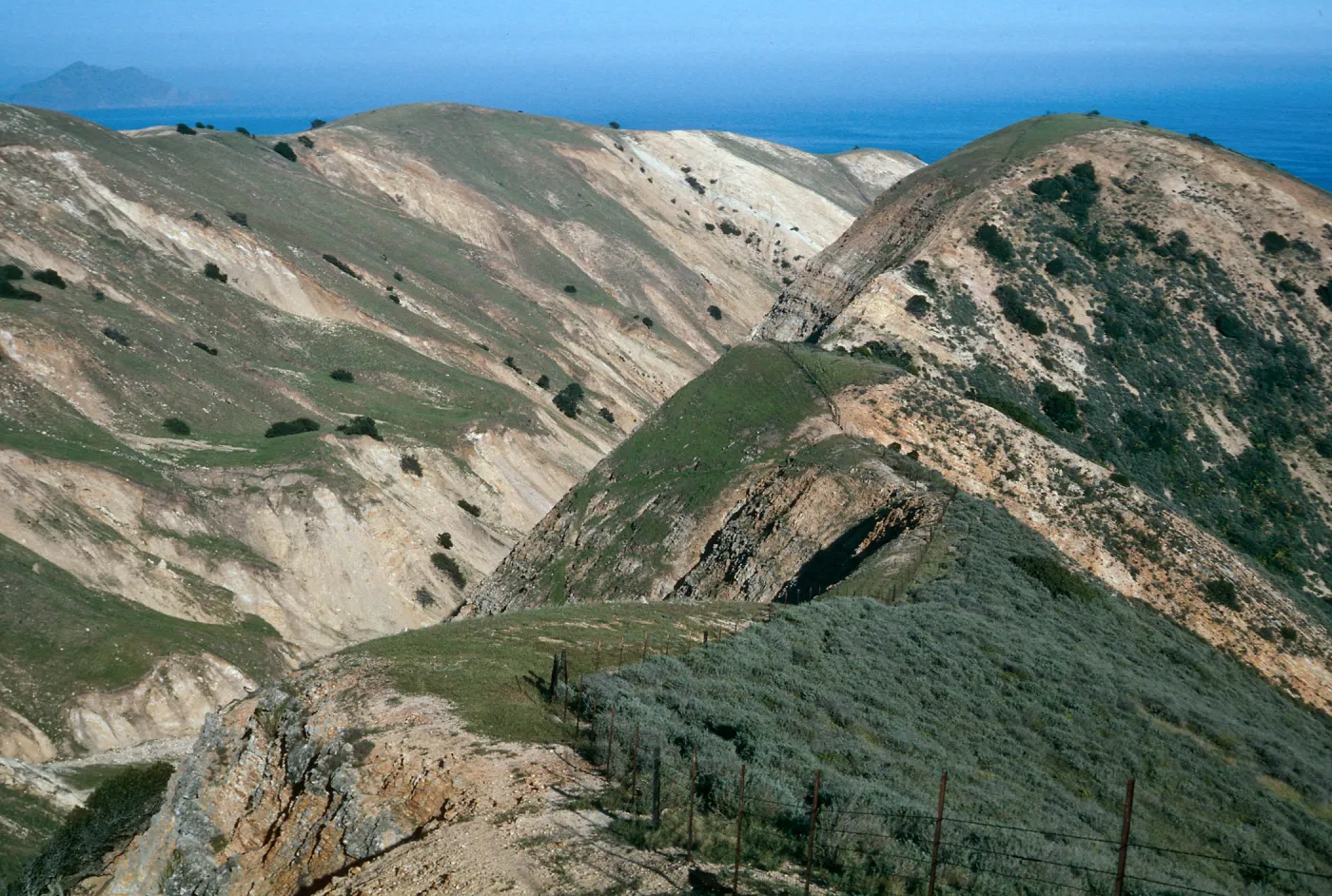 sheep fence, The Nature Conservancy/Gherini boundary, looking South, South side, Santa Cruz Island