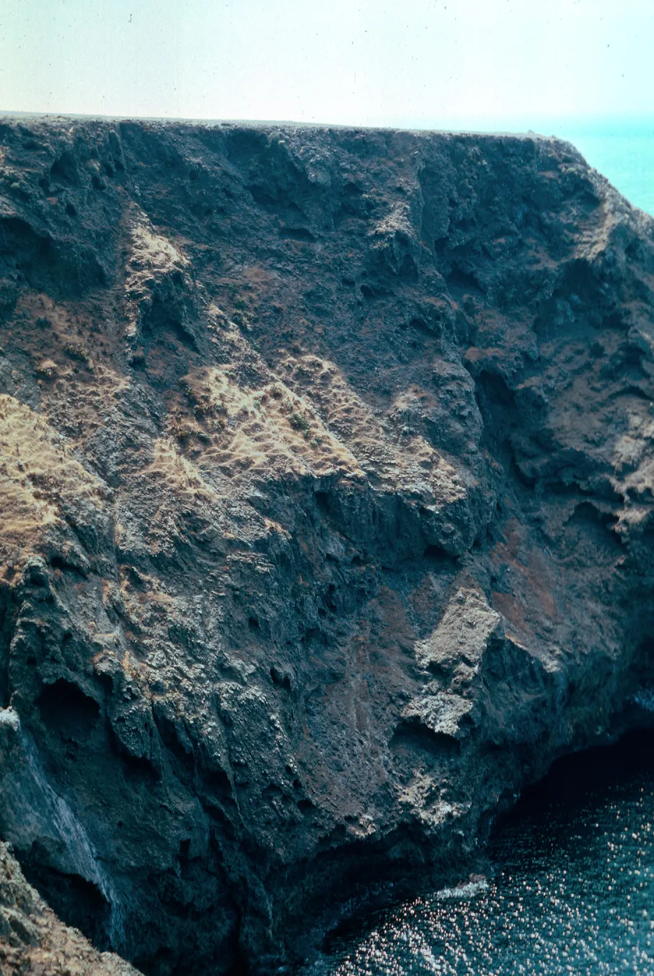 sheep trails on steep coastal bluffs, North-West coast of Santa Cruz Island