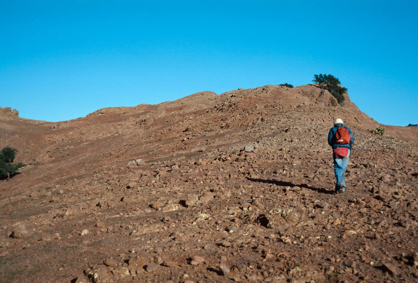 sheep damage between Picacho Diablo & Laguinitas Secas, Santa Cruz Island