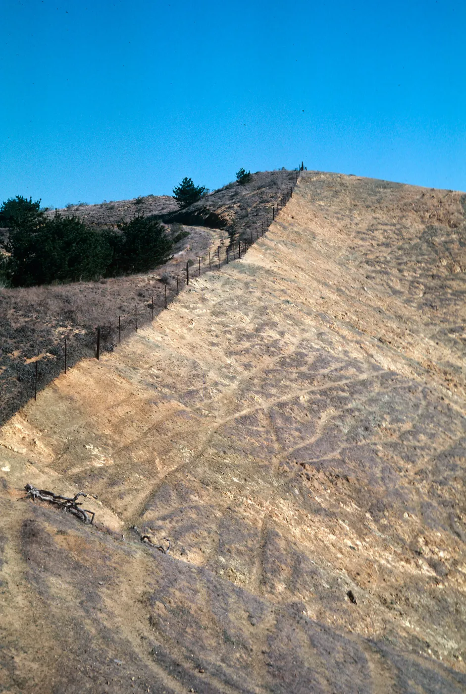 sheep damage, upper Laguna - upper Sauces Road, looking North, Santa Cruz Island