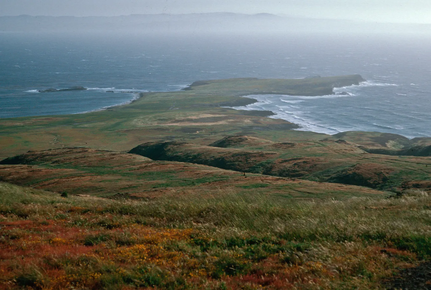 Fraser Point, Santa Cruz Island