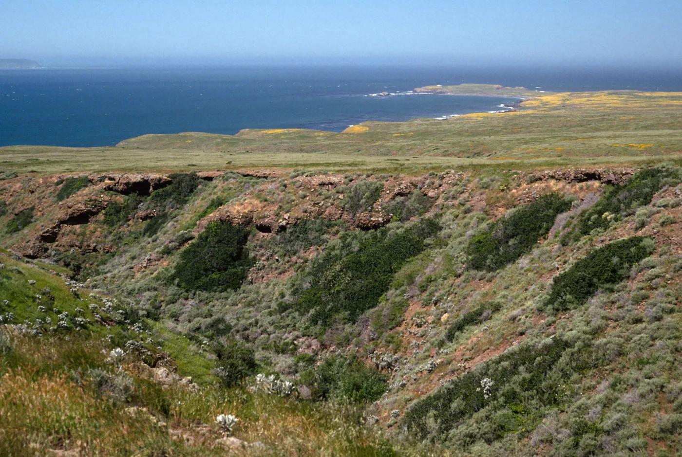 Fraser Point view, Santa Cruz Island