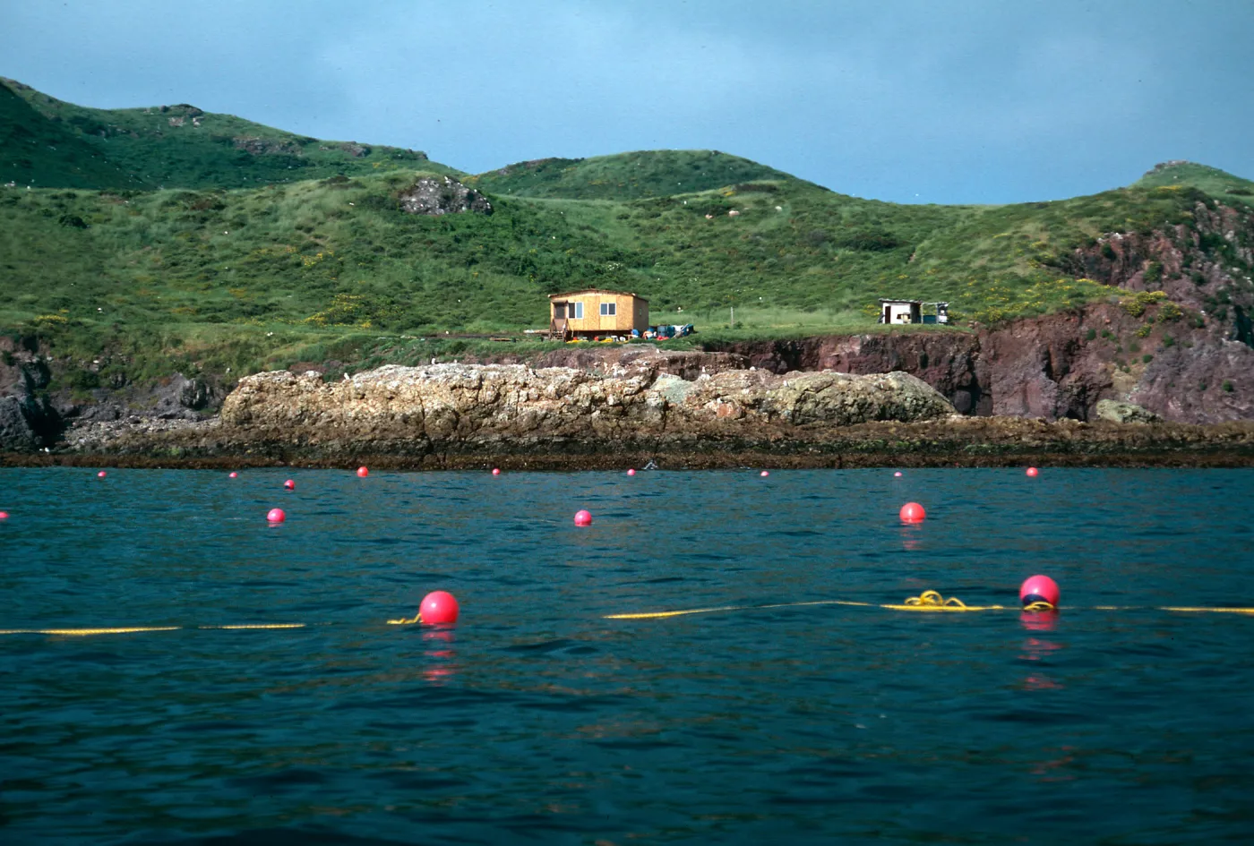 North Fish Camp, East side of South Todos Santos Island