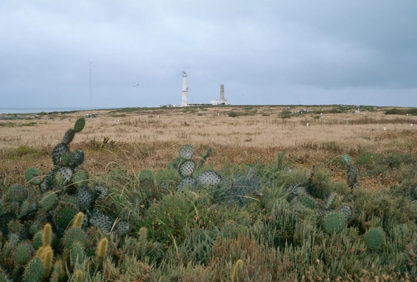 lighthouse, North island, Todos Santos Island