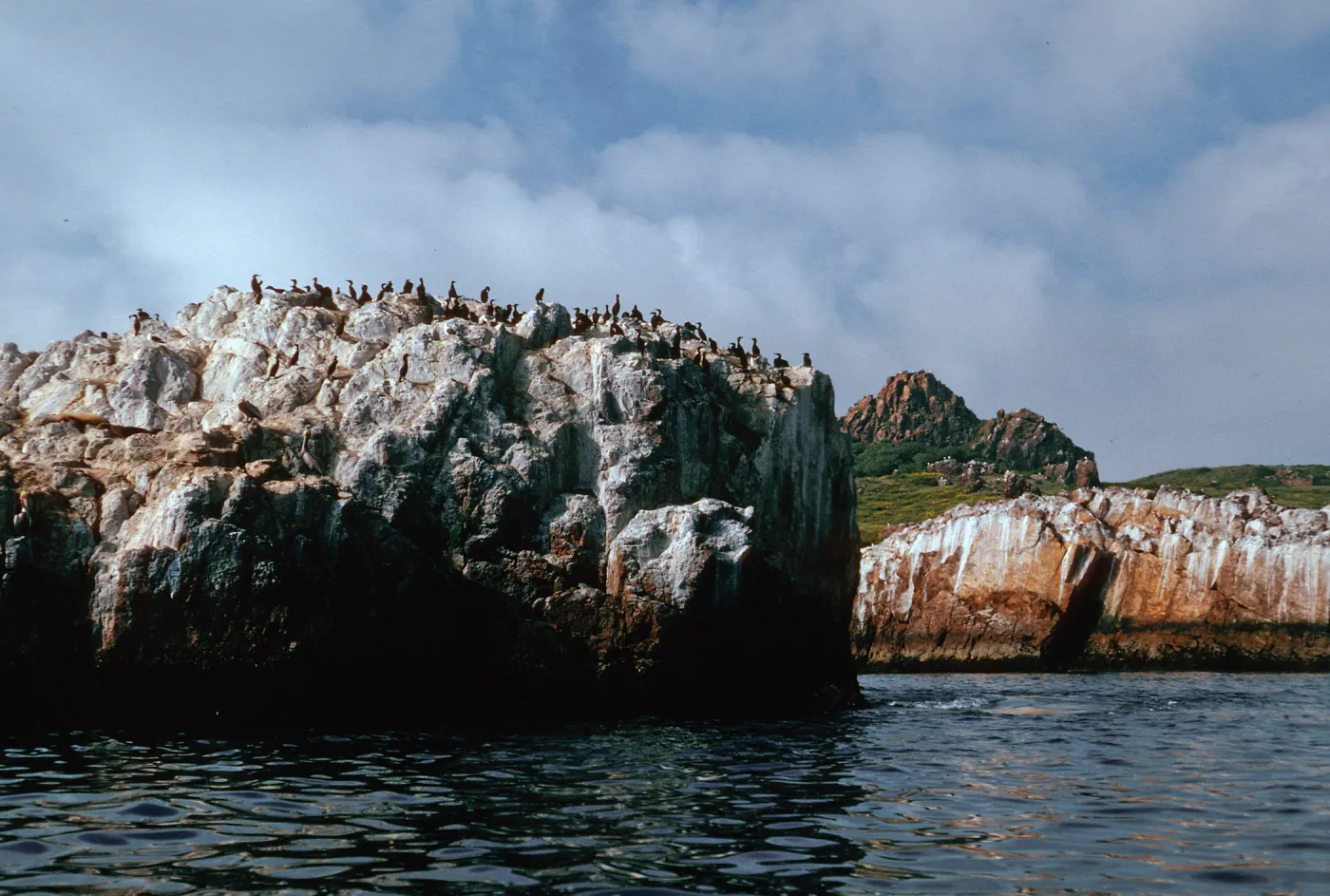 cormorants & pelicans on rocks, Northeast shore of Isla Del Sur, Todos Santos Island