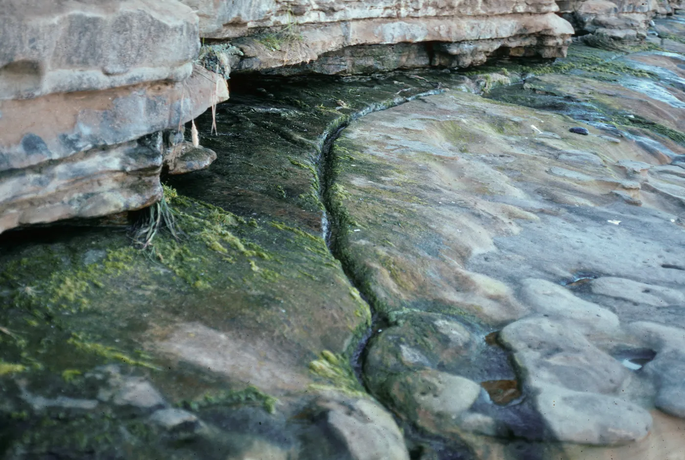 Indian water system, Red Eye Beach, San Nicolas Island