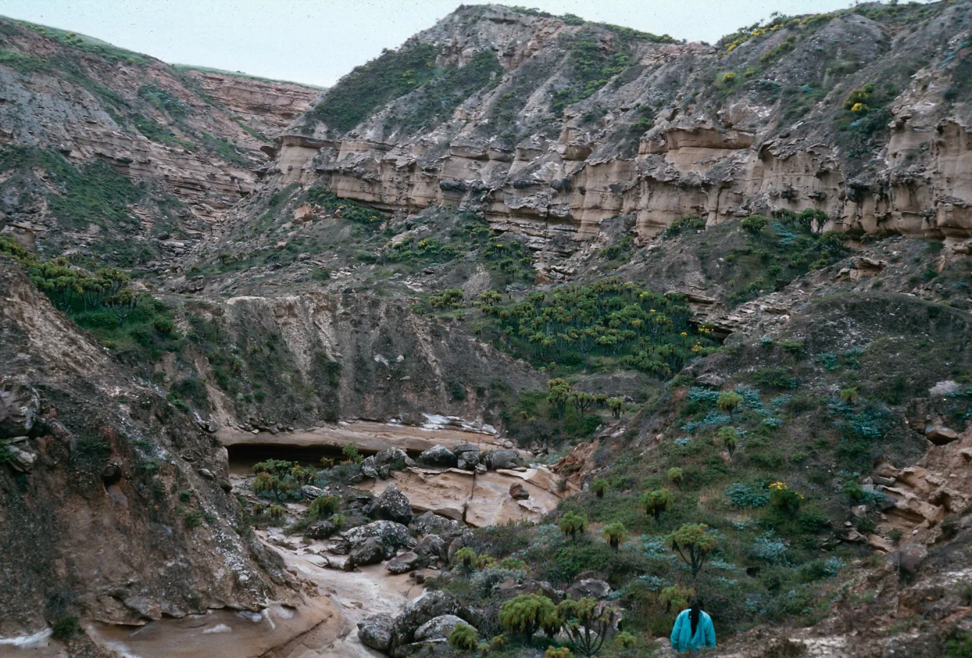Canyon east of triangle spur, northeast side of island, San Nicolas Island