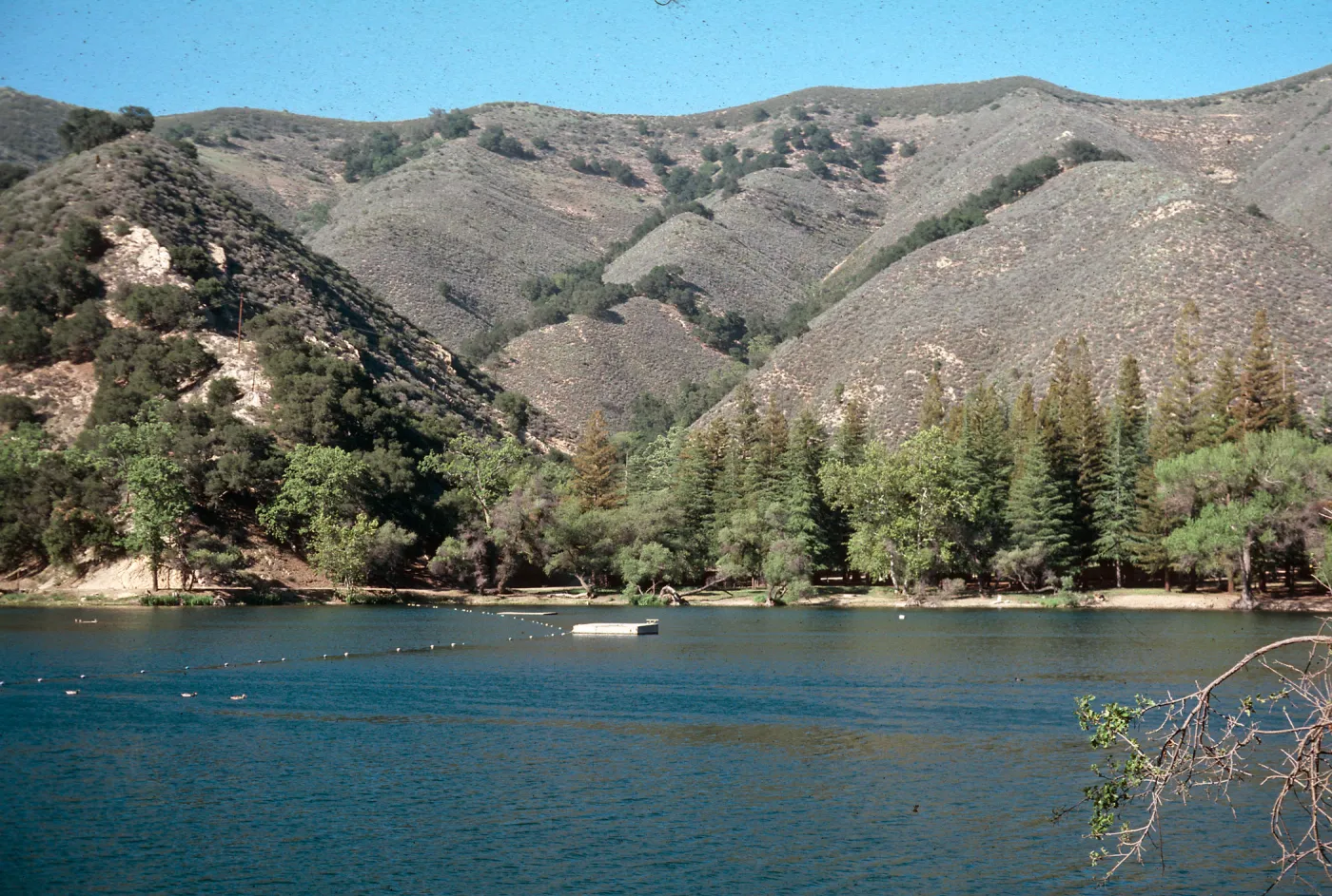 Zaca Lake