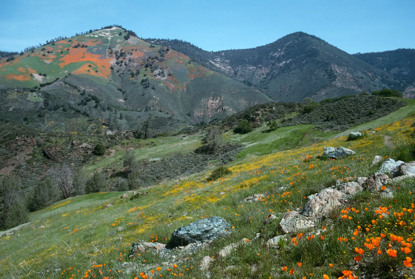 Figueroa Mountain
