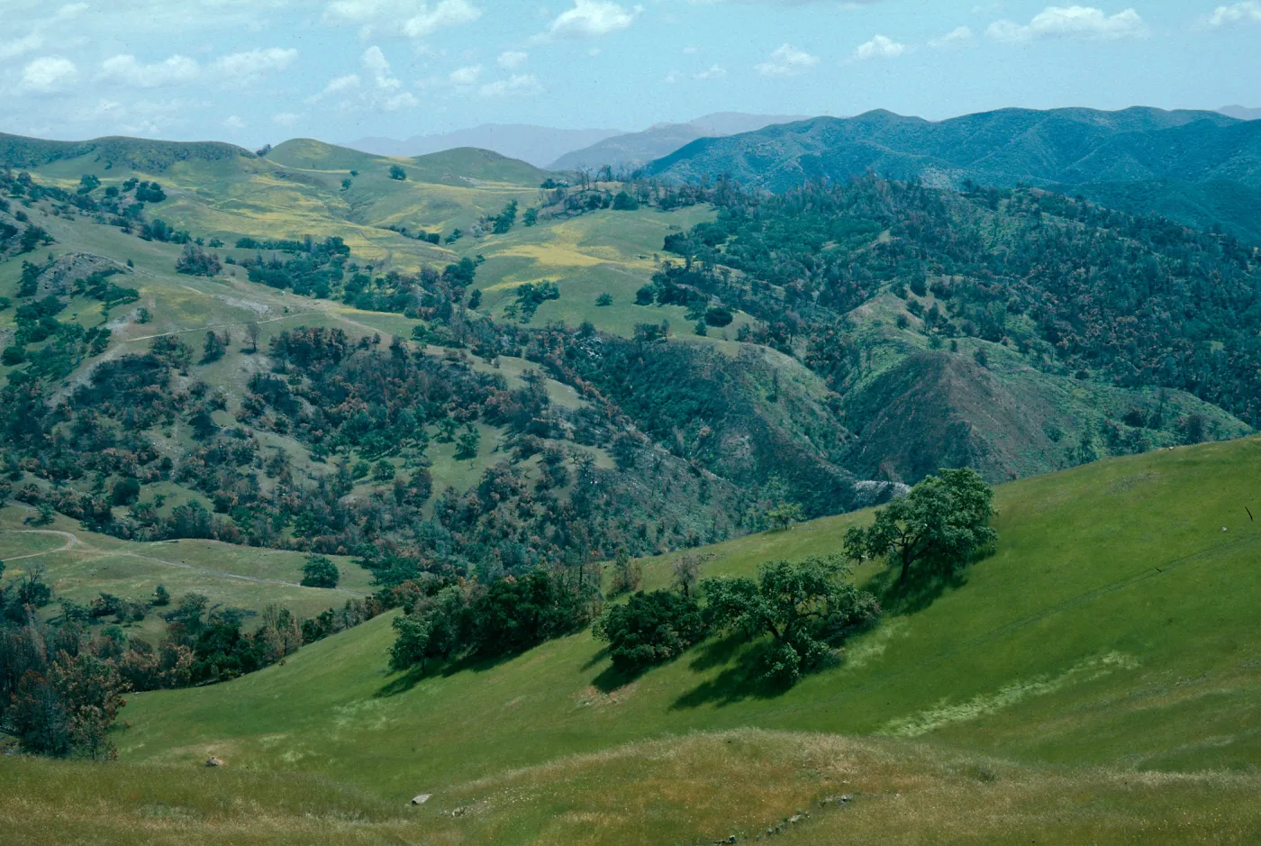Happy Canyon, De La Guerra Springs area