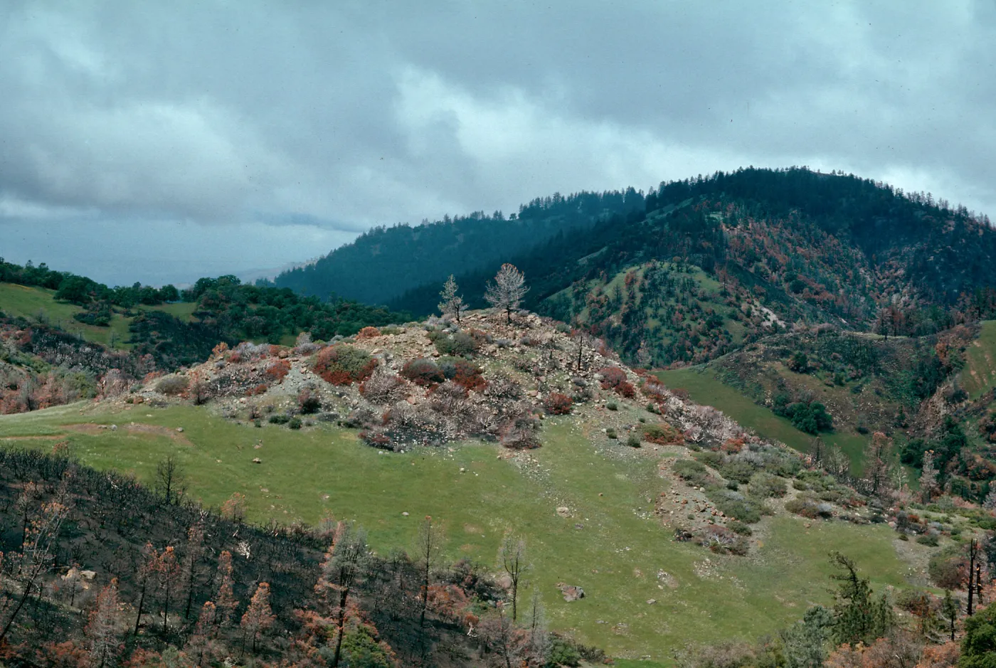 scenery, Marre burn, Figueroa Mountain area