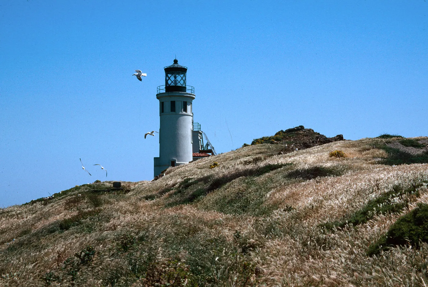Anacapa Island lighthouse