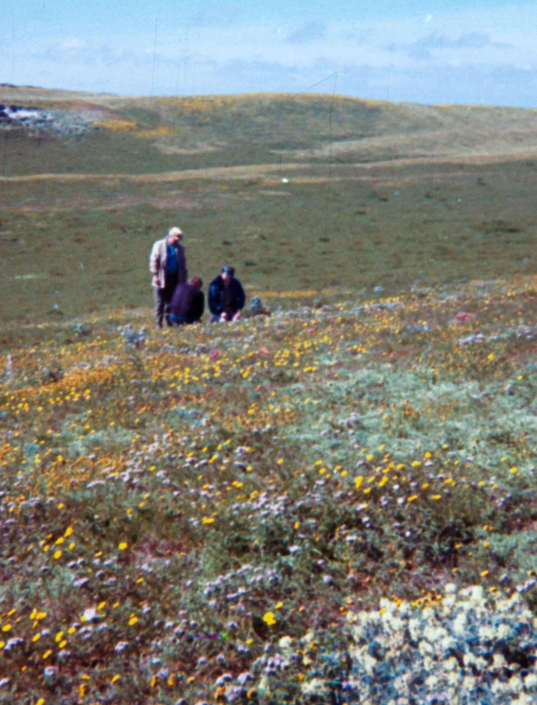 Santa Rosa Island